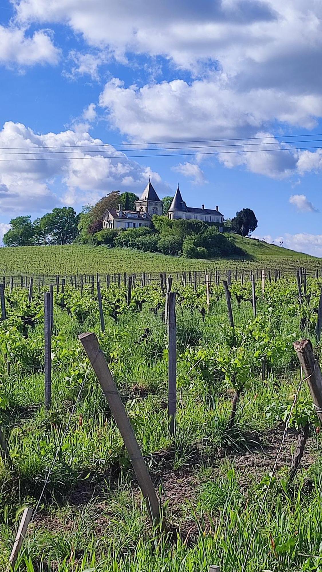 Maison Charmeilles - La Suite Saint Emilion Fronsac  Exterior photo